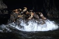 Sea Lion Caves - Florence Oregon USA Royalty Free Stock Photo