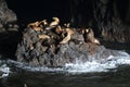 Sea Lion Caves - Florence Oregon USA Royalty Free Stock Photo