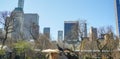 Sea Lion in Central Park Zoo, New York City Royalty Free Stock Photo