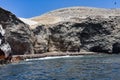 Sea Lion colony on the Islas Ballestas. Paracas, Peru