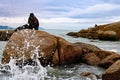 Sea lion family on the rocks on the beach. Royalty Free Stock Photo