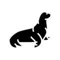 sea lion glyph icon vector illustration Royalty Free Stock Photo