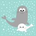 Sea lion. Harp seal pup. Cute cartoon character. Happy animal collection. Sea ocean water. Mother and baby family. Blue snow winte
