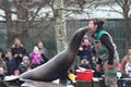 Sea Lion Kiss