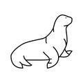 sea lion line icon vector illustration Royalty Free Stock Photo