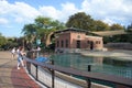 Sea Lion Pool at the Lincoln Park Zoo Chicago, Illinois