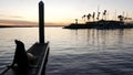 Sea lion rookery on pier, California USA. California ocean coast wildlife. Wild seal by sea water.