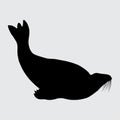 Sea Lion Silhouette, Sea Lion Isolated On White Background