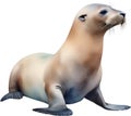 Sea lion, Watercolor painting of Sea lion. AI-Generated. Royalty Free Stock Photo