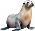 Sea lion, Watercolor painting of Sea lion. AI-Generated. Royalty Free Stock Photo