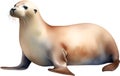 Sea lion, Watercolor painting of Sea lion. AI-Generated. Royalty Free Stock Photo