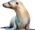 Sea lion, Watercolor painting of Sea lion. AI-Generated. Royalty Free Stock Photo