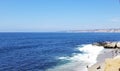 Sea Lions Bathing and Fishing at the Pacific Ocean La Jolla California Royalty Free Stock Photo