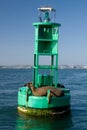 Sea lions on buoy Royalty Free Stock Photo