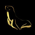 Sea Lions or Otariinae with Golden brush stroke painting over black background Royalty Free Stock Photo