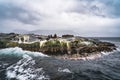 Sea Lions and Seals on the Beagle Channel Near Ushuaia, Tierra del Fuego, Argentina Royalty Free Stock Photo