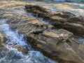 Sea lions & seals napping on a rock under the sunset Royalty Free Stock Photo