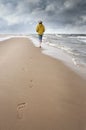 Sea and lowering clouds Royalty Free Stock Photo