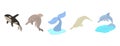 Sea mammals icon set, cartoon style Royalty Free Stock Photo