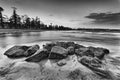 Sea Manly beach rocks alga