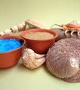 Sea and marine spa elements Royalty Free Stock Photo