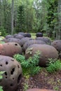 Old soviet underwater naval mines casings scattered in the forest of Naissaar island, Estonia