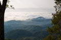 Sea of Mist at DoiTung, Chiangrai