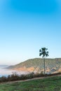Sea of mist in the morning at Khao Kho,Phetchabun Province,northern Thailand. Royalty Free Stock Photo