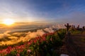 Sea of mist on the mountain in sunrise time