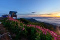 Sea of mist on the mountain in sunrise time