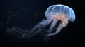Sea Moon jellyfish. Closeup of Beautiful Moon Jellyfish (Aurelia aurita) in aquarium. generative ai Royalty Free Stock Photo
