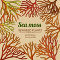 Sea moss frame