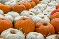 Sea Multi-Colored Pumpkins White Red Orange Decoration Autumn Fa Royalty Free Stock Photo