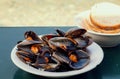 Sea mussels and local bread ready for dinner in restaurant. Seaside vacation with seafood Royalty Free Stock Photo