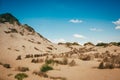 Sea netherlands sand lighthouse Royalty Free Stock Photo