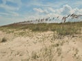 New Smyrna Beach Dunes and Sky Royalty Free Stock Photo