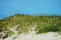 Sea Oats and Sand Dunes of the Outer Banks of NC Royalty Free Stock Photo