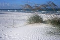 Sea Oats and Surf Royalty Free Stock Photo