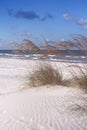 Sea Oats and Surf Royalty Free Stock Photo