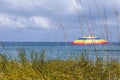 Sea Oats and an Umbrella on Florida Sand Dune Royalty Free Stock Photo