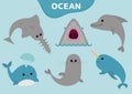 Sea ocean animal fauna icon set. Blue whale, sawshark, dolphin, narwhal, seal. Saw shark fish. Water inhabitant. Cute cartoon baby