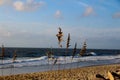 Sea ocean grass sand wave