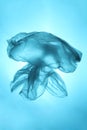 Sea and ocean life from waste. Plastic bag in the form of a jellyfish. Pollution of the planet