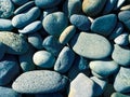 sea ocean rocks pebble beach smooth rock heap garden yard path walkway pebbles closeup Royalty Free Stock Photo
