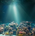 Sea or ocean seabed with coral reef. Underwater view.