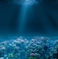 Sea or ocean seabed with coral reef. Underwater view Royalty Free Stock Photo