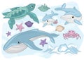 Sea Ocean Tropical Summer Vector Colorful Illustration SEA CREATURES