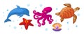 Sea and ocean underwater animals. Different sea animals fish of seafood collection dolphin, pearl clam, starfish, sea turtle