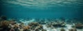 Sea or ocean underwater deep nature background Royalty Free Stock Photo