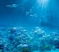 Sea or ocean underwater, shark and sunk treasures Royalty Free Stock Photo